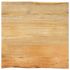 Blat masă cu margini naturale, 50x40x2,5 cm, lemn masiv mango GartenMobel Dekor