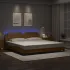 Cadru de pat cu lumini LED negru/alb 200x200 cm piele ecologică GartenMobel Dekor