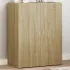 Dulap de birou, stejar sonoma, 60x32x190 cm, PAL  GartenMobel Dekor