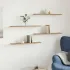 Plăci bibliotecă, 4 buc., alb, 60 x 20 x 1,5 cm, PAL GartenMobel Dekor