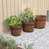 Set de jardiniere tip găleată, 3 piese, lemn masiv de brad GartenMobel Dekor