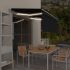 Copertină retractabilă manual cu stor&LED albastru&alb, 3x2,5 m   GartenMobel Dekor