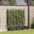 Ghiveci de grădină cu trellis 3 pcs Alb 120 x 40 x 125.5 cm PP GartenMobel Dekor