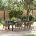 Set Dining Grădină 9 Piese, Ratan Polimer Negru GartenMobel Dekor