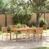 Set Dining Grădină 7 pcs Negru 200 x 100 x 74 cm Metal & Lemn GartenMobel Dekor