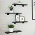 Set de 4 plăci de raft , Stejar Negru, 40x10x1.5 cm, din lemn prelucrat. GartenMobel Dekor