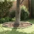 Împrejmuire pentru gazon 4 pcs Argintiu 450 x 15 cm GartenMobel Dekor