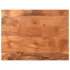 Blat de masă, 100x80x3,8cm, dreptunghiular, lemn masiv reciclat GartenMobel Dekor