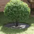 potrivit pentru inele de copac plat Antracit Ø30 / 60 cm Oțel GartenMobel Dekor