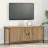 Cabinet TV Lemn Vechi 100 x 35 x 45 cm Lemn compozit GartenMobel Dekor