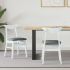 Scaune de dining 2 pcs Alb 42 x 47.5 x 81 cm GartenMobel Dekor