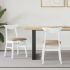 Scaune de dining 2 pcs Alb 42 x 47.5 x 81 cm GartenMobel Dekor