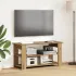 Suport pentru TV Stejar Artizanal 100 x 40 x 50 cm GartenMobel Dekor