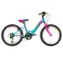 Bicicleta Copii DHS Modesty - 20 Inch, Roz Ultimate FactoryBikes