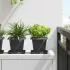 Vază pătrată pentru flori 24 pcs Roșu cărămidă GartenMobel Dekor