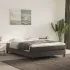 Pat box spring cu saltea, gri închis, 100x200 cm, catifea GartenMobel Dekor