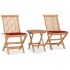 Set mobilier exterior pliabil cu perne, 3 piese, lemn masiv tec GartenMobel Dekor