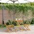 Set mobilier grădină, 5 piese, gri, poliratan și lemn masiv GartenMobel Dekor