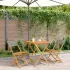 Set mobilier grădină, 5 piese, gri, poliratan și lemn masiv GartenMobel Dekor