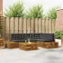 Set de canapele de exterior 5 Bucată Gri natural și deschis GartenMobel Dekor