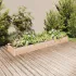 Strat de grădină înălțat cu căptușeală, 240x120x25 cm lemn brad GartenMobel Dekor