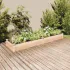Strat grădină înălțat cu căptușeală gri 240x60x25 cm, lemn brad GartenMobel Dekor