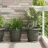 Tavă rotundă pentru flori 24 pcs Negru Ø 27 x 2,5 cm Plastic GartenMobel Dekor