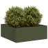 Jardinieră verde măsline 80x80x30 cm oțel GartenMobel Dekor