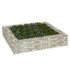 Strat înălțat de gabion, 800x100x20 cm, oțel galvanizat GartenMobel Dekor