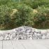 Coșuri gabion arcuite 8 buc, 400x50x140/160 cm, fier galvanizat GartenMobel Dekor