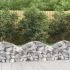 Coș gabion arcuit, 100x30x200/220 cm, fier galvanizat GartenMobel Dekor