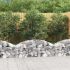 Coș gabion arcuit, 100x30x200/220 cm, fier galvanizat GartenMobel Dekor