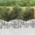 Coș gabion arcuit, 100x30x200/220 cm, fier galvanizat GartenMobel Dekor