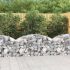 Coș gabion arcuit, 100x30x200/220 cm, fier galvanizat GartenMobel Dekor