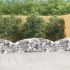 Coș gabion arcuit, 100x30x200/220 cm, fier galvanizat GartenMobel Dekor