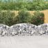 Coș gabion arcuit, 100x30x200/220 cm, fier galvanizat GartenMobel Dekor