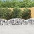 Coș gabion arcuit, 100x30x200/220 cm, fier galvanizat GartenMobel Dekor