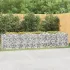 Strat înălțat cu gabion arcuit, 800x50x100 cm, fier galvanizat GartenMobel Dekor