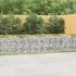 Strat înălțat cu gabion arcuit, 600x50x50 cm, fier galvanizat GartenMobel Dekor