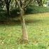 Rulou de iută, 1x5 m, iută 100%, 200 g/m² GartenMobel Dekor