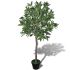 Dafin artificial cu ghiveci, 120 cm  GartenMobel Dekor