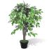 Ficus pitic artificial cu ghiveci, 60 cm GartenMobel Dekor