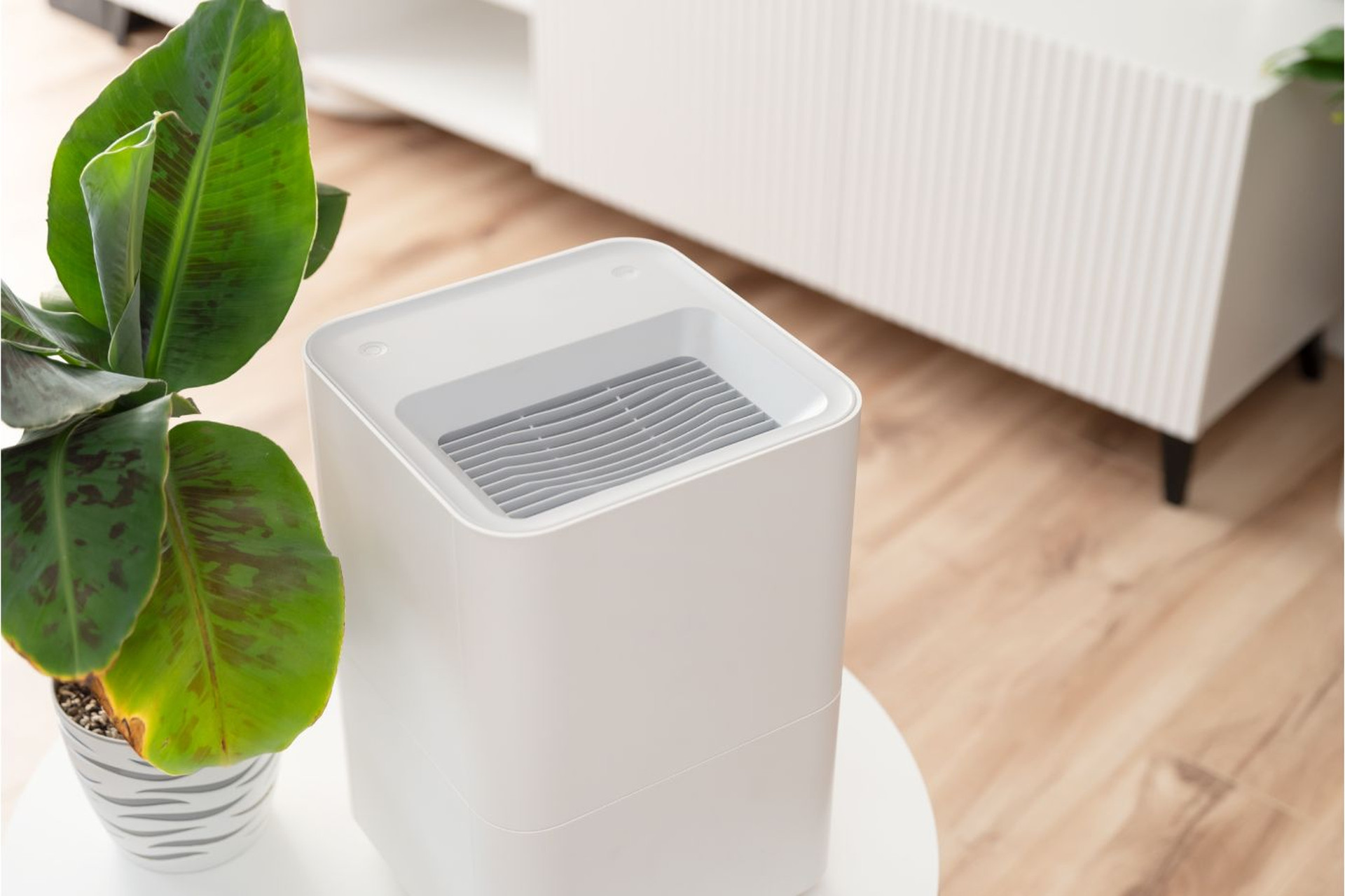 Avantajul folosirii unui dezumidificator Avantajul folosirii unui dezumidificator