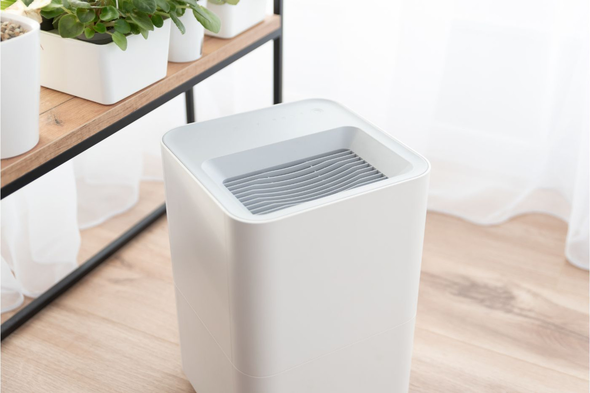 Rolul dezumidificatorului în prevenirea mucegaiului Rolul dezumidificatorului în prevenirea mucegaiului